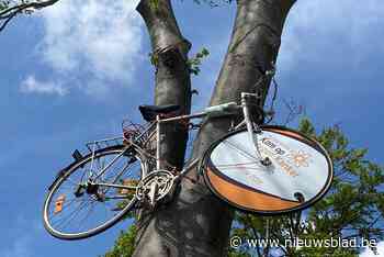 Trap mee tegen kanker (Bocholt) - Het Nieuwsblad