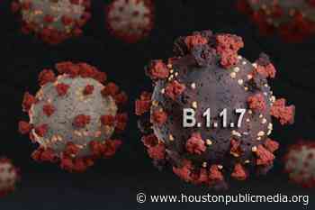 COVID-19 Variants - Houston Public Media