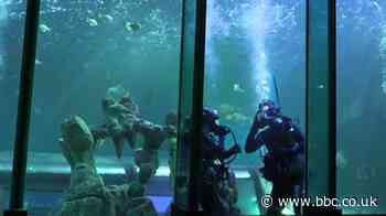 Lockdown easing: Indoor attractions reopen in England