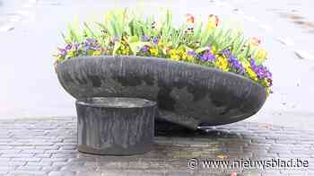 Loenhout opgeschrikt door vandalisme: “Laat ze maar eens bij de Groendienst komen”