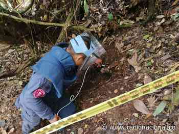 Rovira será declarado libre de minas antipersonal en Tolima - http://www.radionacional.co/