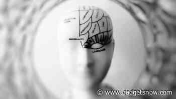 Scientists claim to develop brain tissue from 3D-printed bioreactor