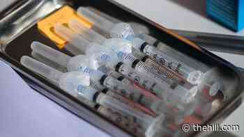 Vaccine-hesitant Americans list false side effects among concerns: poll