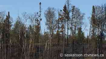 Why Sask. could be in store for average wildfire season despite dry conditions