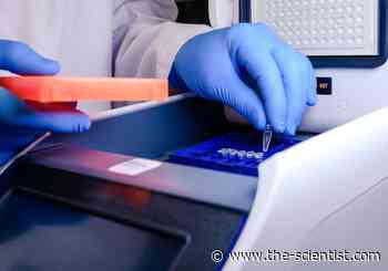 Coronavirus Mutations Could Muddle COVID-19 PCR Tests - The Scientist