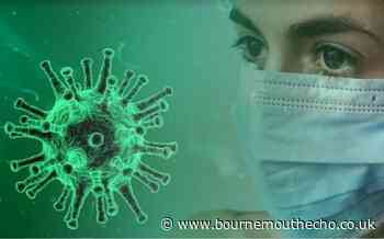 Coronavirus: 12 new cases across Dorset - Bournemouth Echo