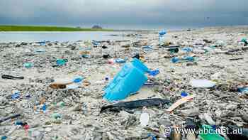 Coca-Cola, Woolworths and Coles sign 'radical' deal to cut plastic waste