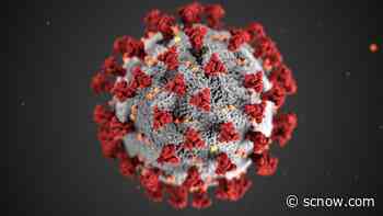 Florence County reports the only coronavirus death Monday in SC - SCNow