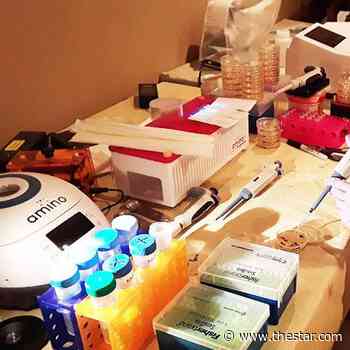 Markham student 1 of 2 from York region competing at Canada-wide Science Fair - Toronto Star