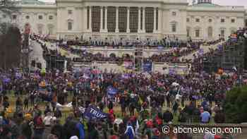 Jan. 6 riot suspect on house arrest after mountain lion kill