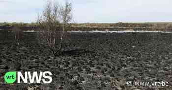 Opnieuw schietoefeningen op het Groot Schietveld in Wuustwezel en Brecht na grote brand: "Voorlopig niet op de heide" - VRT NWS