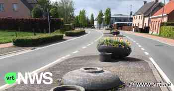 Schepen in Wuustwezel doet oproep aan bloembakvandalen: "Ik nodig jullie uit om dagje mee te lopen met groendienst" - VRT NWS