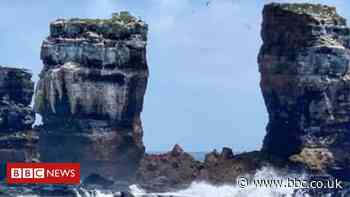 Galapagos Islands: Erosion fells Darwin's Arch