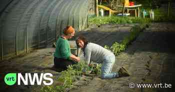 Burn-outboerderij in Zwalm verbouwt woonwagen: "Eindelijk ruimte voor wie stilte of coaching nodig heeft" - VRT NWS