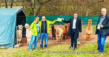 Regionalmarke Neunkirchen um Alpaka-Produkte aus dem Landkreis erweitert - Saarbrücker Zeitung