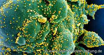 Corona: Ab 16. Mai gilt im Kreis Neunkirchen wieder das Saarland-Modell - Saarbrücker Zeitung