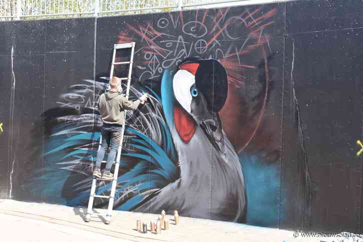 Graffitikunstwerk in Molse fietstunnel wint internationale prijs