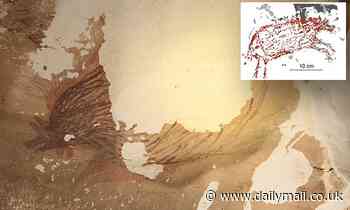 Oldest known cave art on Earth threatened by climate change, scientists report 