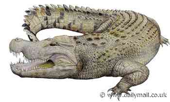 8M year-old crocodile that loved to 'attack big prey' has just been discovered in Australia 