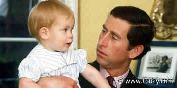 Prince Harry wants to ‘break that cycle’ of royal parenting after Charles