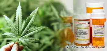 Medical Cannabis Board considers allowing patients to grow plants - West Virginia MetroNews
