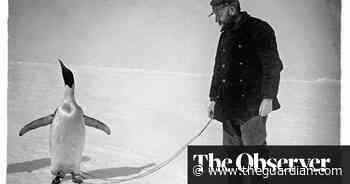 The secret of how Amundsen beat Scott in race to south pole? A diet of raw penguin - The Guardian