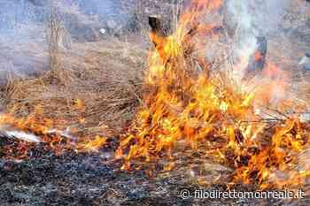 Monreale, rischio incendi, ancora possibile bruciare erba, frasche, cespugli. Dal 15 giugno scatteranno le sanzioni - Filodiretto Monreale