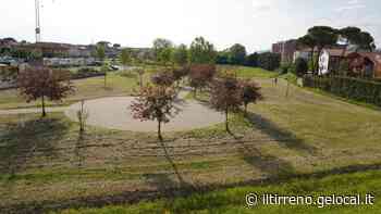 Una nuova scuola e altre abitazioni là dove c’è l’erba e la Bellaria protesta - Il Tirreno