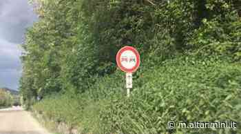 Erba alta toglie visuale sulla Marecchiese, cartelli 'seppelliti' e pericolo per i ciclisti - AltaRimini
