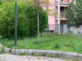 Aosta: Erba alta e incuria nelle aree verdi, Comune verso appalto manutenzione - Valledaostaglocal.it