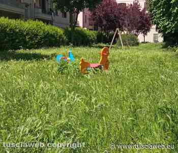 "L'erba al parco al Pilastro è più alta di mia nipote" - Tuscia Web