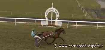 L'erba di Hegemonico è più verde - Corriere dello Sport.it