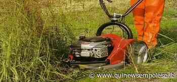 Nei parchi scatta l'ora di falciare l'erba - Qui News Empolese