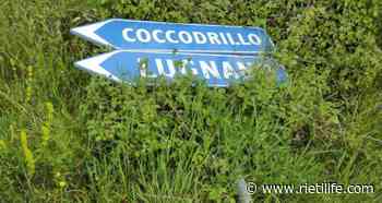 “Cartello da mesi nell'erba. Il comune intervenga” - Rieti Life