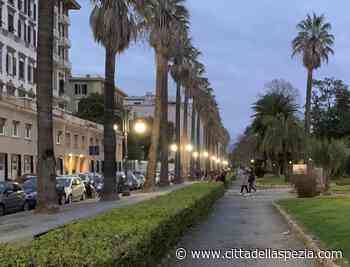 "Erba" nei calzini, sedicenne denunciato per spaccio ai giardini - Città della Spezia