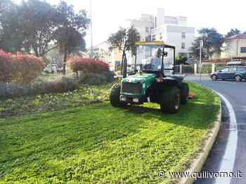 Al via il taglio erba primaverile in tutta la città ea Quercianella - QuiLivorno.it