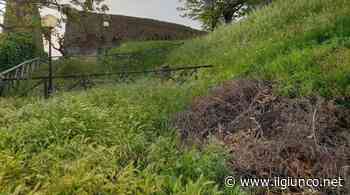 Pensiamo Scarlino: «Borgo in stato di abbandono, sommerso da erba alta, sporcizia e degrado» - IlGiunco.net