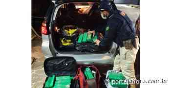 Imbituba: Polícia Rodoviária Federal apreende quase 220 quilos de maconha na BR-101 durante a noite deste domingo - Portal AHora