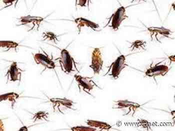 CockroachDB simplifies multi-region deployment