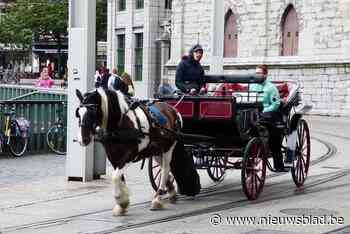 Ook paarden uit lockdown voor ritjes door Gent: “Er zijn wat coronakilo’s bijgekomen”