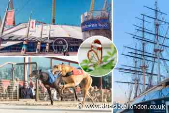 Iconic attractions reopen across south east London