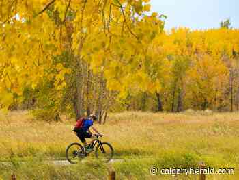 Province seeking input on Fish Creek Provincial Park improvement project - Calgary Herald