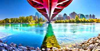 21 distanced things to do in Calgary this week: May 17 to 23 | Listed - Daily Hive