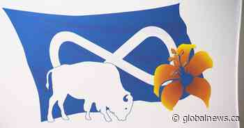 Judge upholds amendments that limit who can vote in Métis Nation-Saskatchewan election