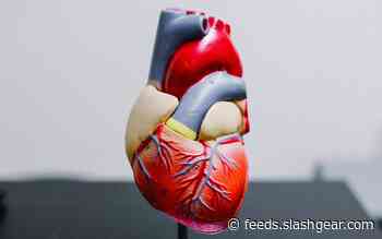 Thousands of pacemakers recalled over dangerous short circuit risk