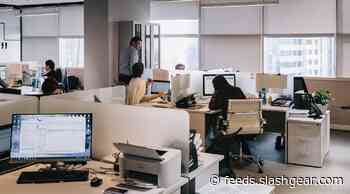 WHO has a big warning for people who work 55 hours or more per week