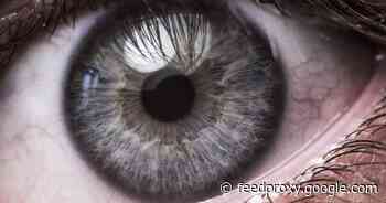 “Those aren’t my kids!” – Eufy camera owners report video mixups