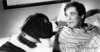 Charles Grodin, Familiar Face From TV and Film, Dies at 86