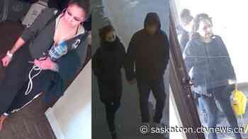 Saskatoon police ask for public's help in homicide investigation