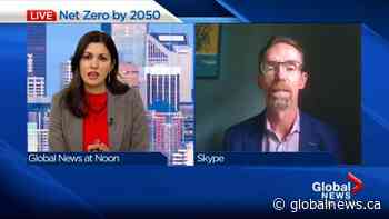 Energy watchdog calls on investors to stop funding future oil, gas and coal projects